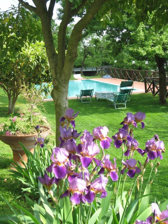 Agriturismo La Capitata Pian Di Sco Exterior photo